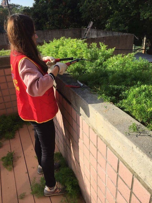 105學年度服務學習圖片